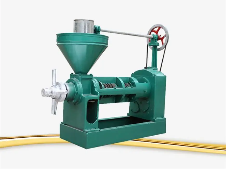 Everything You Need to Know About Oil Press Machines