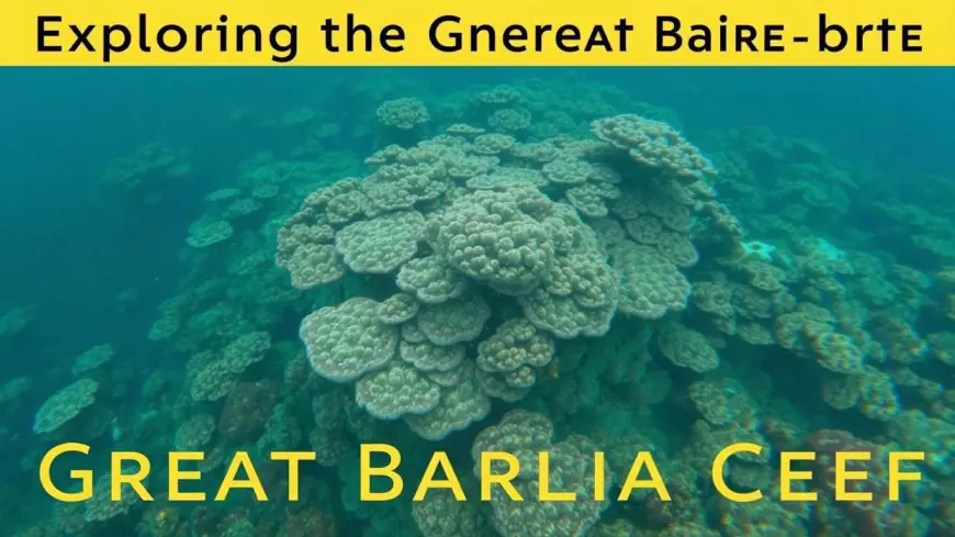 Exploring the Great Barrier Reef: A Traveler’s Guide