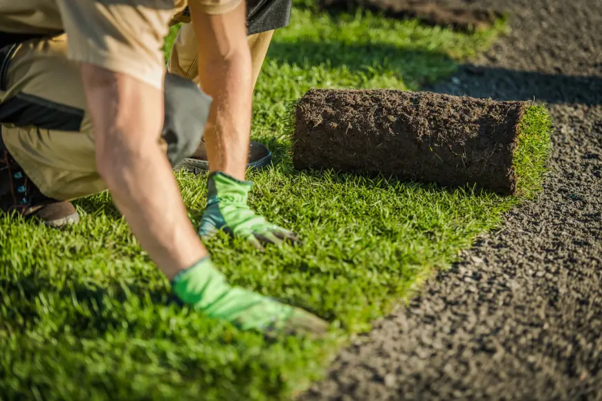 Why Artificial Grass Installers Recommend Synthetic Turf for Sports Fields