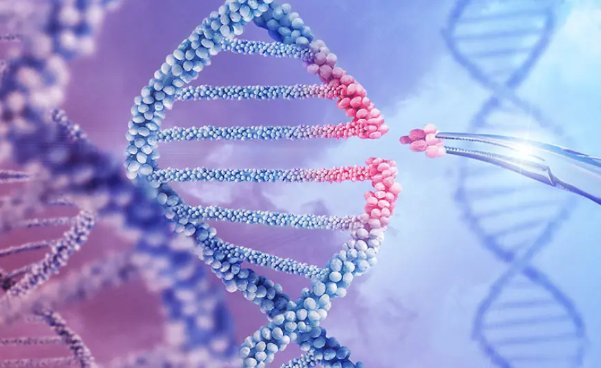 Plant Genome Editing in the CRISPR Market Analysis, Size, Share, Growth, Trends, and Forecasts by 2031