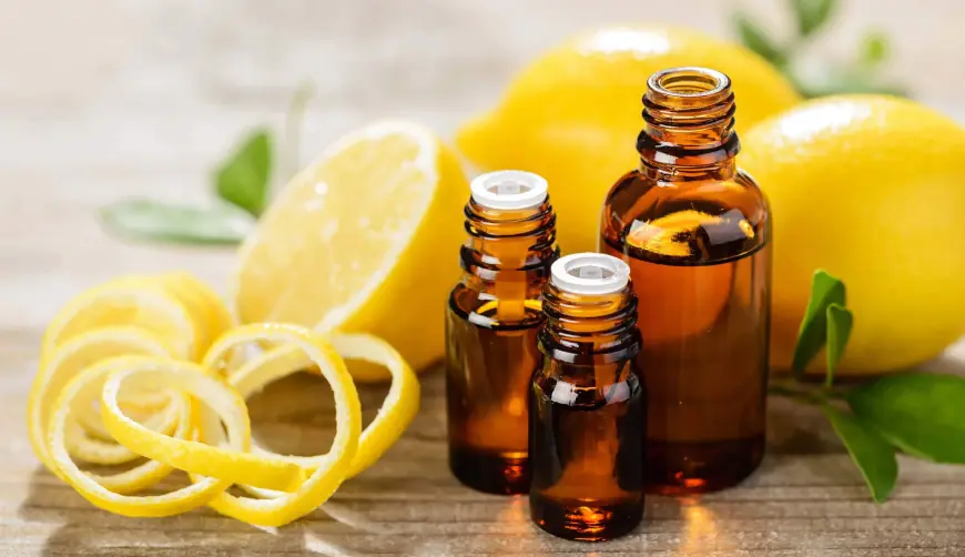 Exploring the Lemon Myrtle Essential Oil Market in Health and Beauty Natural Oils