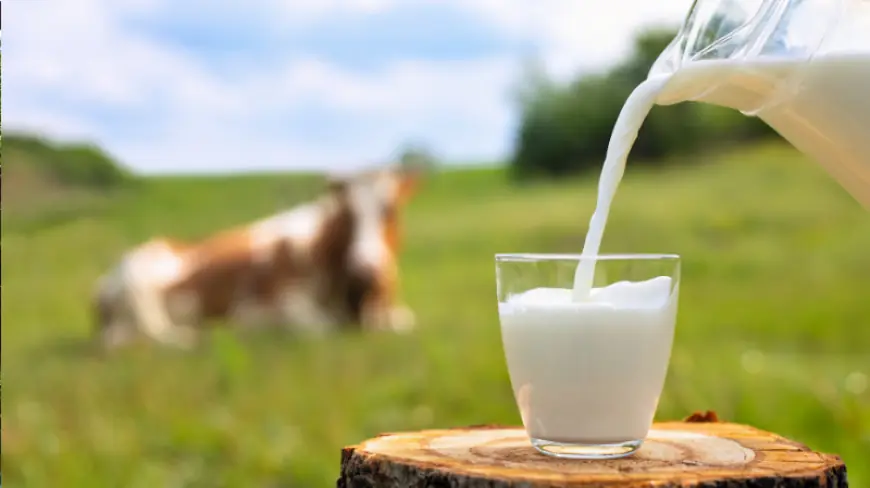 Australia Milk Market: Growth, Trends, and Future Outlook (2025-2034)