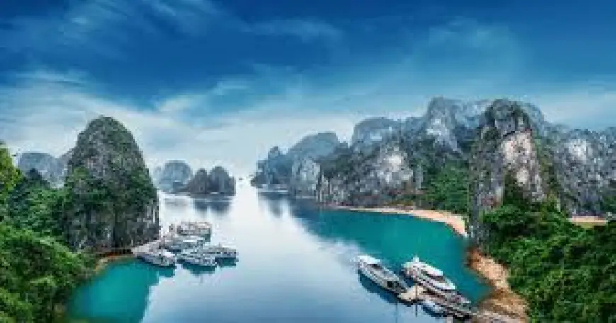 Your Ultimate Guide to Vietnam Tour Packages: Find the Perfect Experience