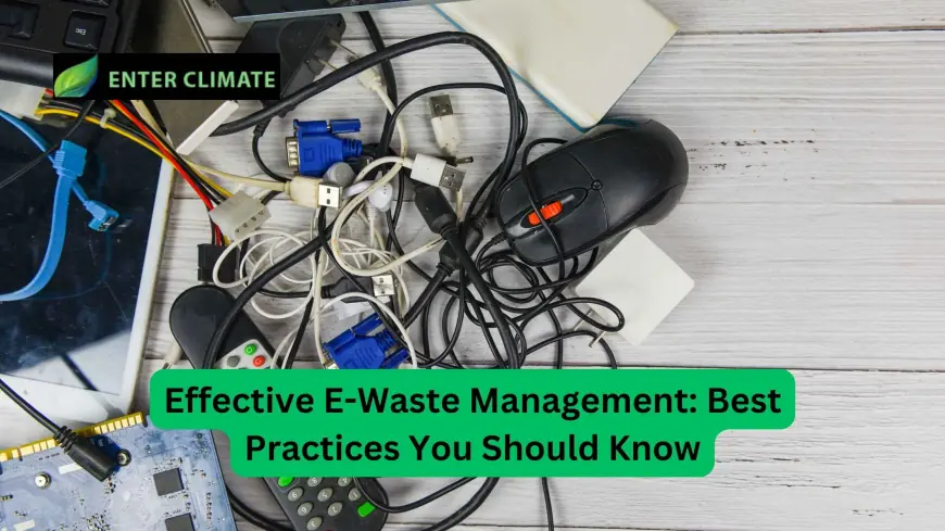 Effective E-Waste Management: Best Practices You Should Know