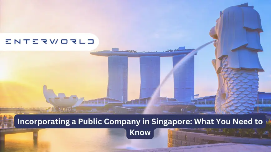 Incorporating a Public Company in Singapore: What You Need to Know