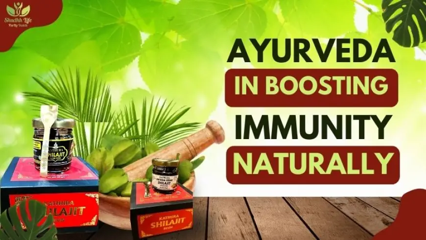 The Role of Ayurveda in Boosting Immunity Naturally