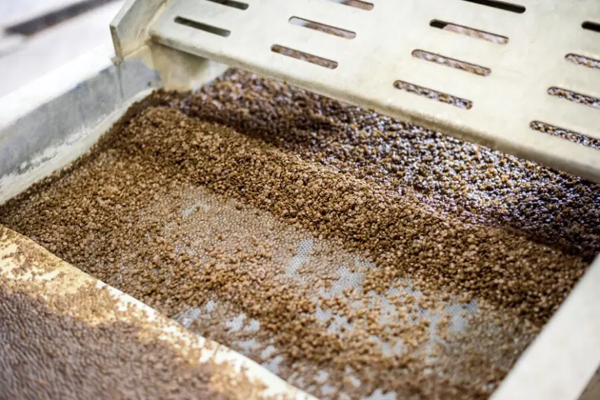 What’s the Best Rice Sorting Machine for Your Business? Find Out Now!