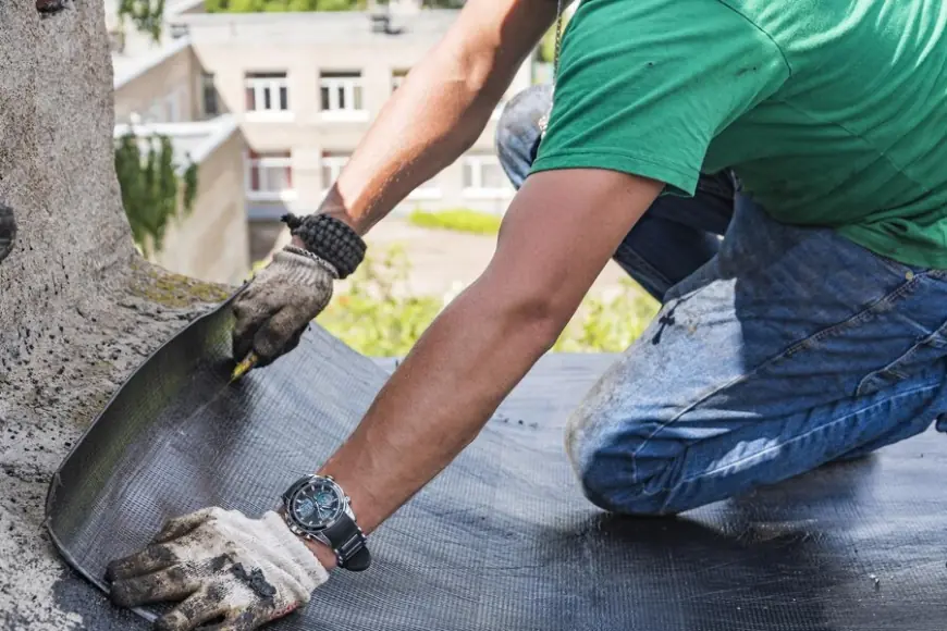 10 Signs Your Roof Needs Repair (Before It’s Too Late!)