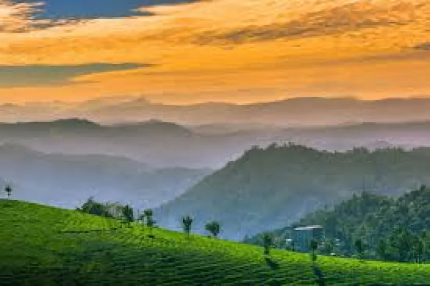 Explore Munnar at Your Own Pace: The Ultimate Guide to Munnar Sightseeing Cabs