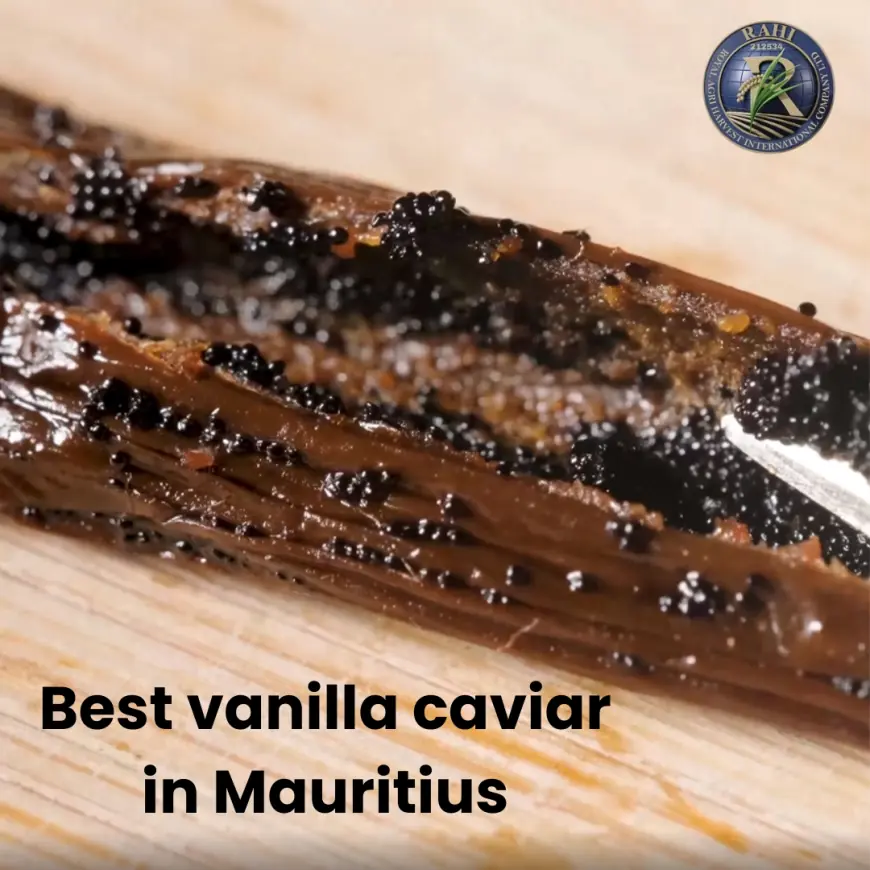 Best Vanilla Caviar in Mauritius: A Premium Choice for Discerning Buyers