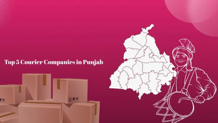 Top 5 Courier Companies in Punjab