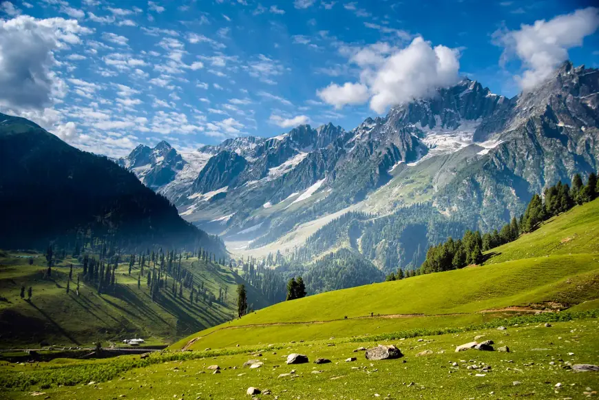 A Family Escape to Paradise – The Ultimate Kashmir Trip