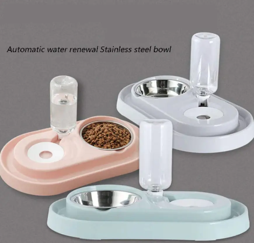 Say Goodbye to Messy Meals! Smart Pet Food Accessories You Need