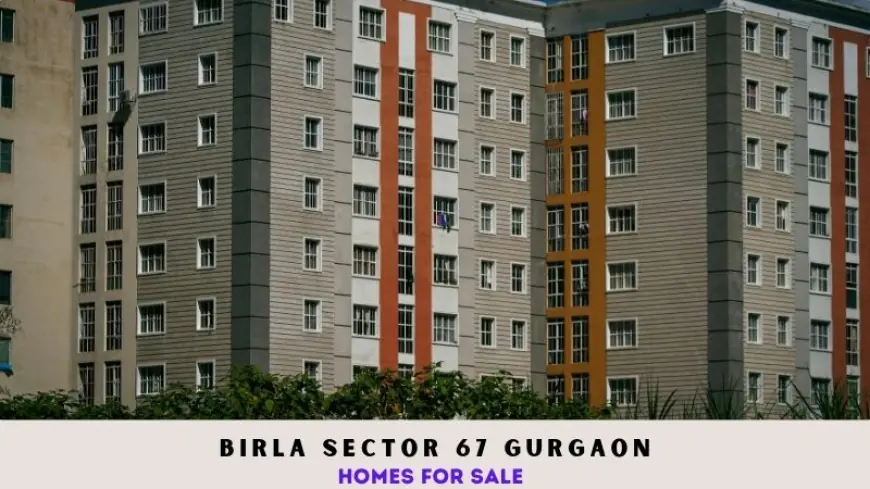 Birla Sector 67 Gurgaon | Homes for Sale