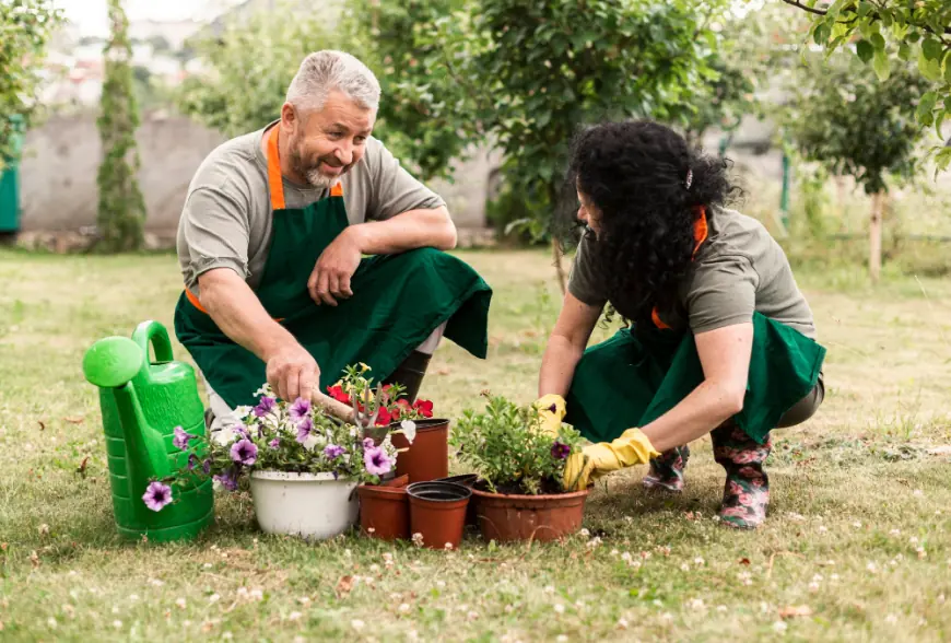 Where to Find the Most Trusted Garden Maintenance Experts