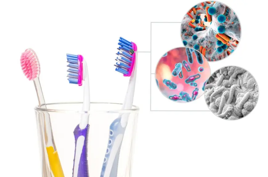 Toothbrush Sanitizer UV vs. Traditional Cleaning Methods: What You Need to Know