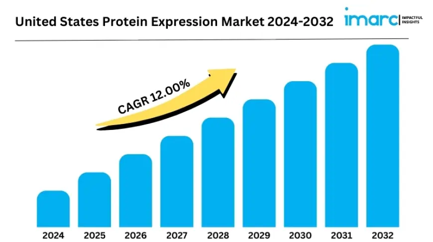 United States Protein Expression Market Report 2025, Industry Overview, Growth Rate and Forecast 2033