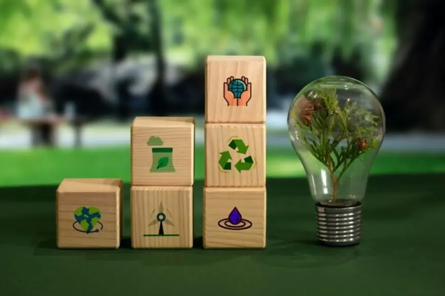 ISO 14001 Certification: Driving Environmental Responsibility