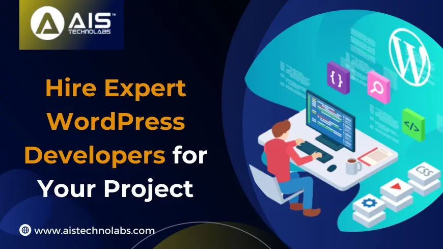 Hire Expert WordPress Developers for Your Project