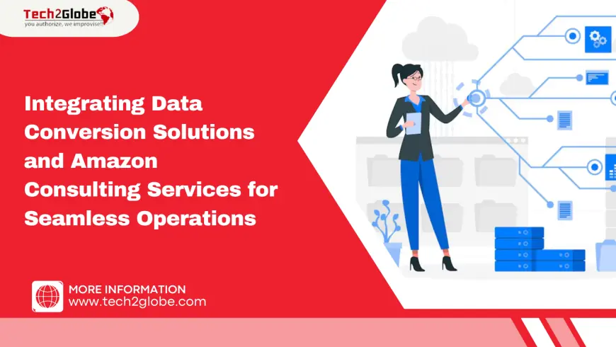 Integrating Data Conversion Solutions and Amazon Consulting Services for Seamless Operations