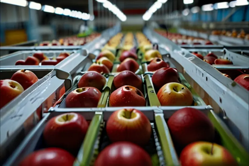 Apple Processing Plant Setup Cost 2025: Layout and Raw Material Requirements