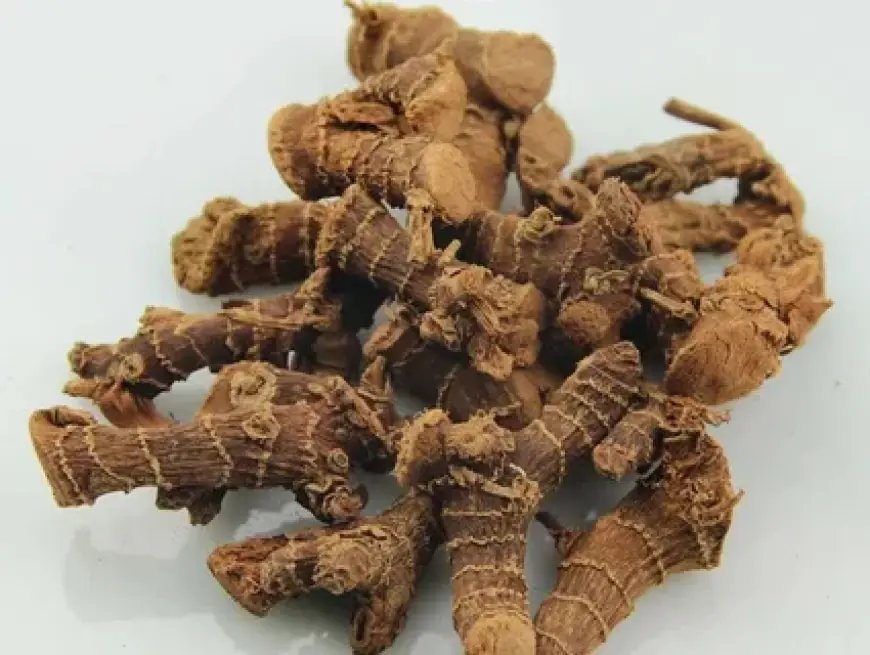 Where Can I Buy Galangal? – The Spice Trader