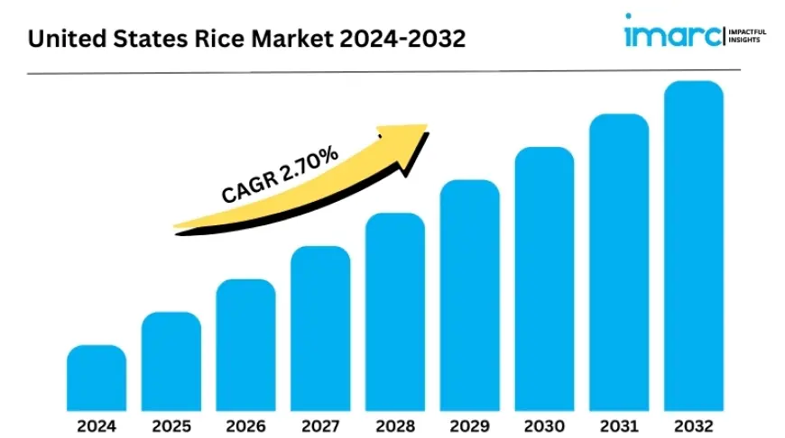 United States Rice Market Report 2025, Industry Overview, Growth Rate and Forecast 2033