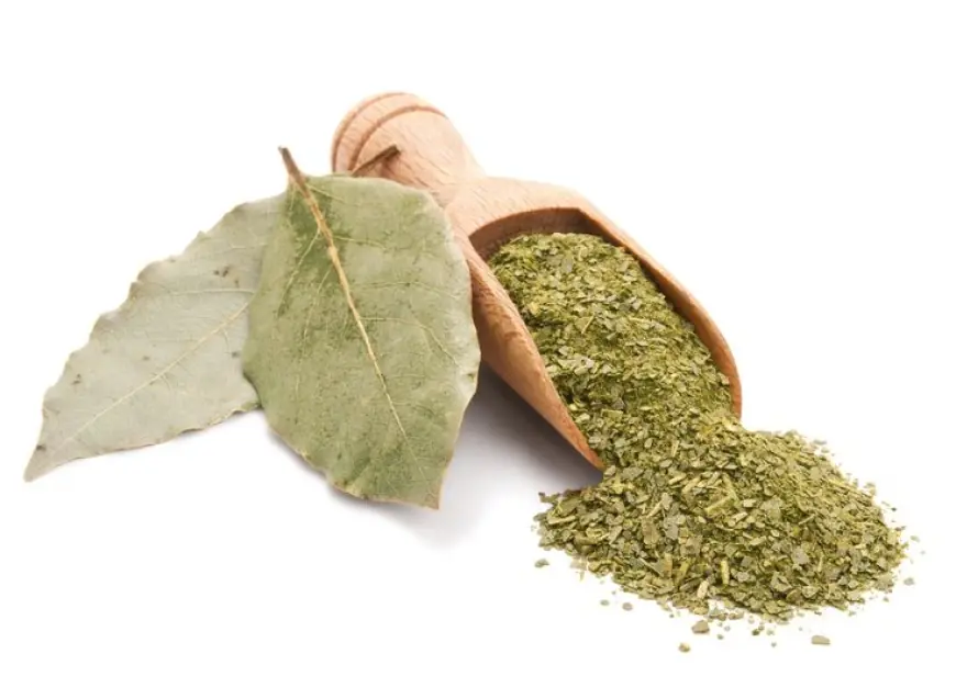 Bay Leaf Market Hit New profit-making 2033