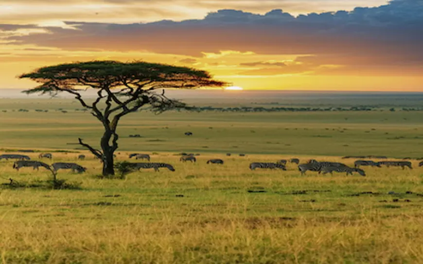 Top Destinations to Visit in South Africa After Getting Your Visa from Dubai