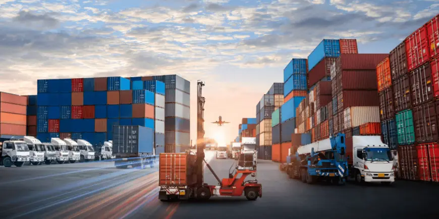 How Real-Time Import-Export Data Can Revolutionize Your Business Decisions