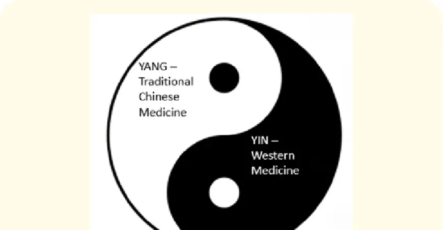 How Does Yin Yang Theory Influence Traditional Chinese Medicine?