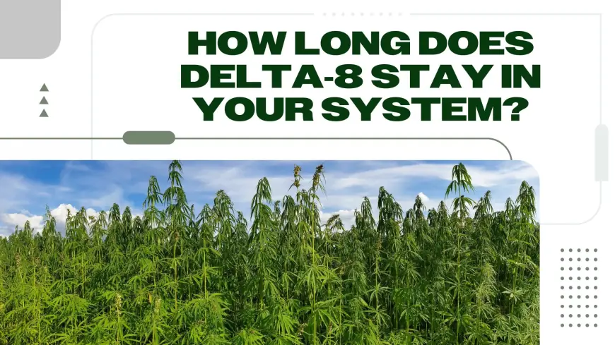 How Long Does It Take for Delta 8 to Leave Your System? A Detailed Guide