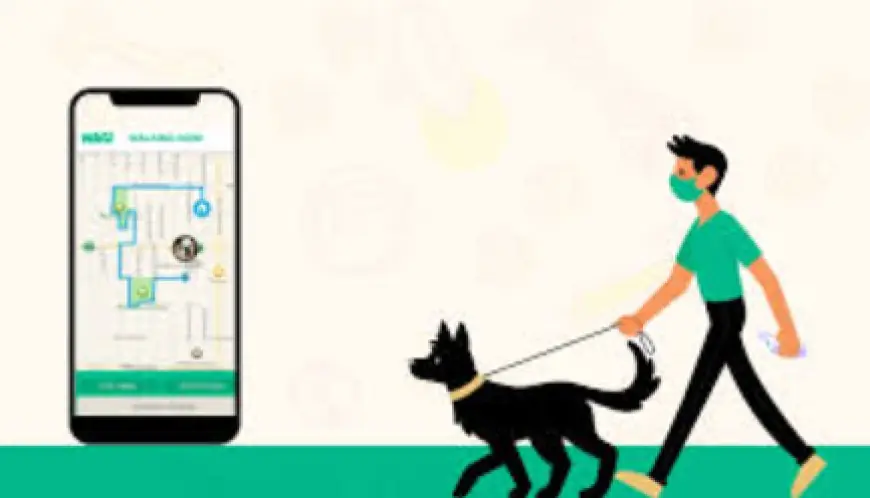 What's Your App Stack for Your Pet Sitting Business