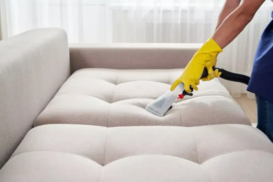 Pre-Holiday Sofa Cleaning: Get Your Couch Guest-Ready