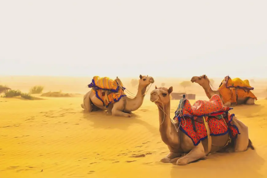 Taxi service in Jaisalmer