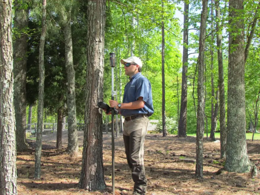 How Professional Tree Surveys Improve Environmental Decisions