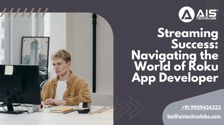 Streaming Success: Navigating the World of Roku App Developer