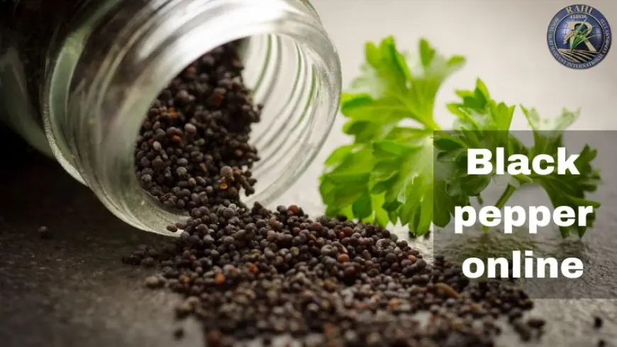 The Ultimate Guide to Buying Premium-Quality Black Pepper