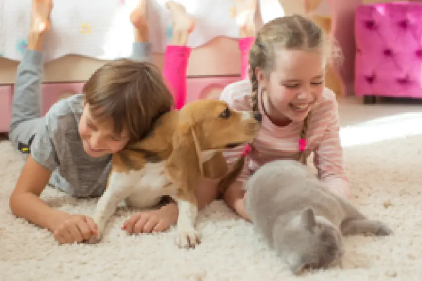 Why Carpet Flooring is a Great Choice for Families & Pets