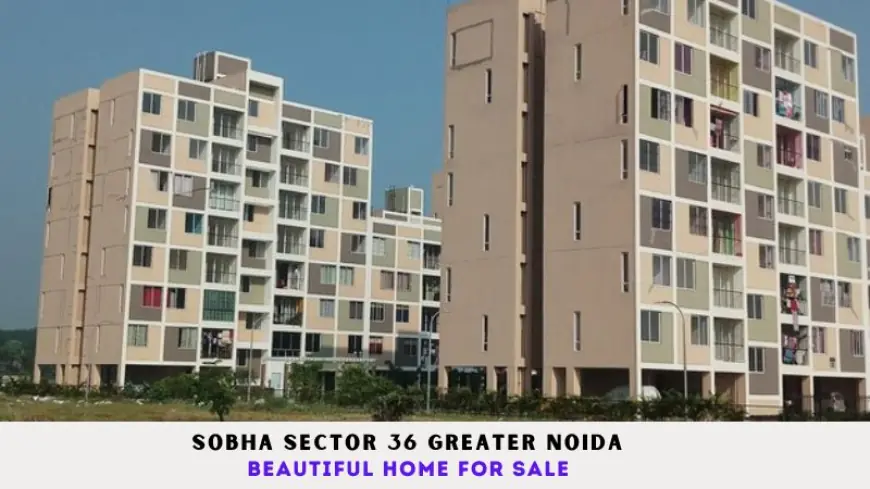 Sobha Sector 36 Greater Noida | Beautiful Home for Sale