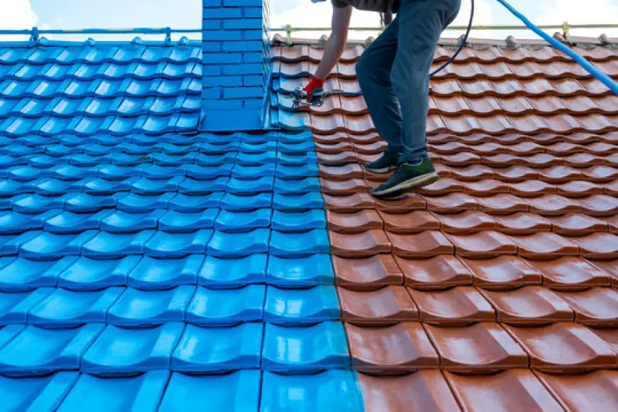 The Ultimate Guide To Roof Painting: Tips And Techniques