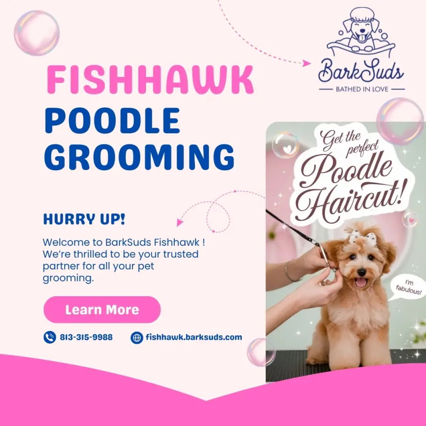 The Ultimate Guide to Poodle Grooming in Fishhawk