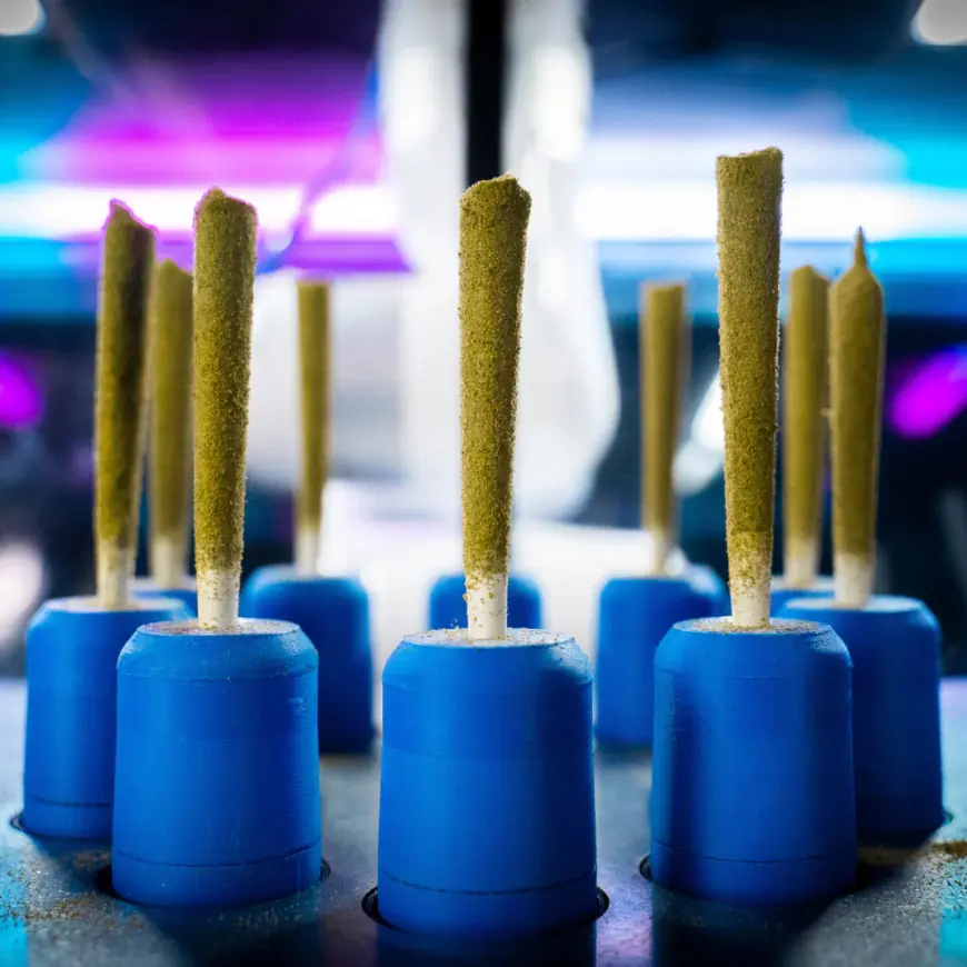 Automated Kief Coating Robot: Revolutionizing Cannabis Pre-Roll Enhancement