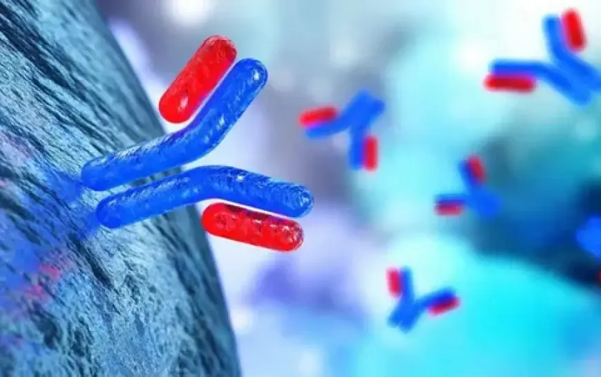 Monoclonal Antibody Therapeutics Market Growth Set to Grow at a High CAGR due to Rising Prevalence of Chronic Diseases