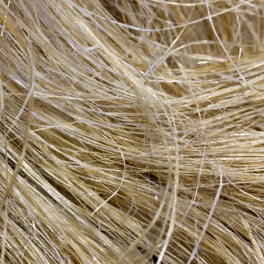 The Growing Demand for Hemp Fiber: A Sustainable Solution for Modern Manufacturing