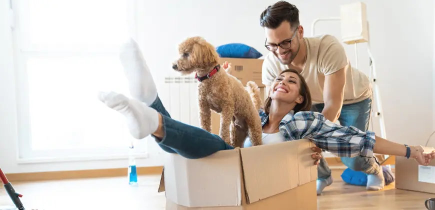 Moving with Pets? Here’s Everything You Need to Know