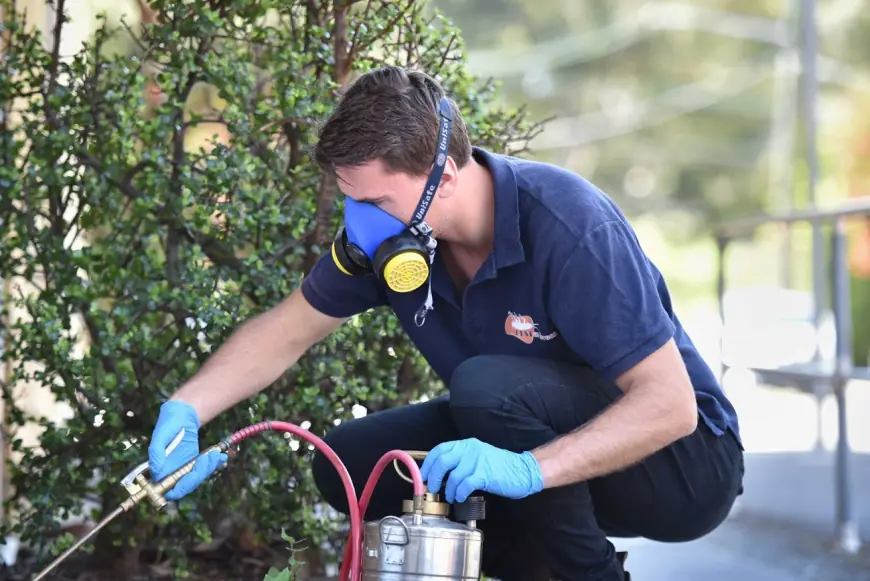 Reasons To Opt For Professional Pest Control Services