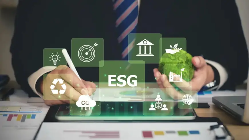 ESG and Sustainability Performance: A Pathway to a Better Future