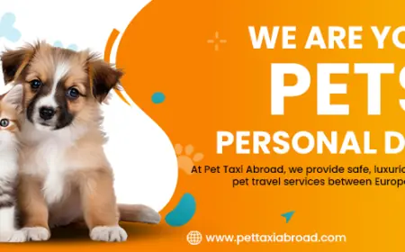 Animal Transport Services See Growing Demand as Pet Travel is on the rise.