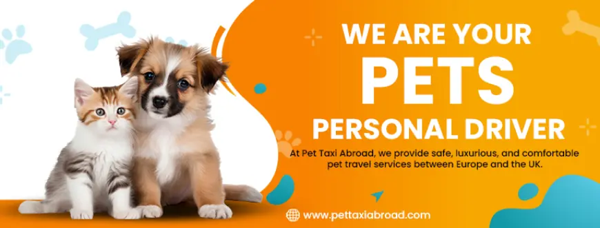 Animal Transport Services See Growing Demand as Pet Travel is on the rise.